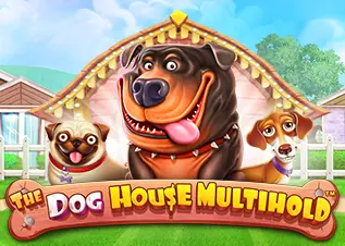 safezone28 รีวิว The Dog House Multihold ทดลองเล่นฟรี